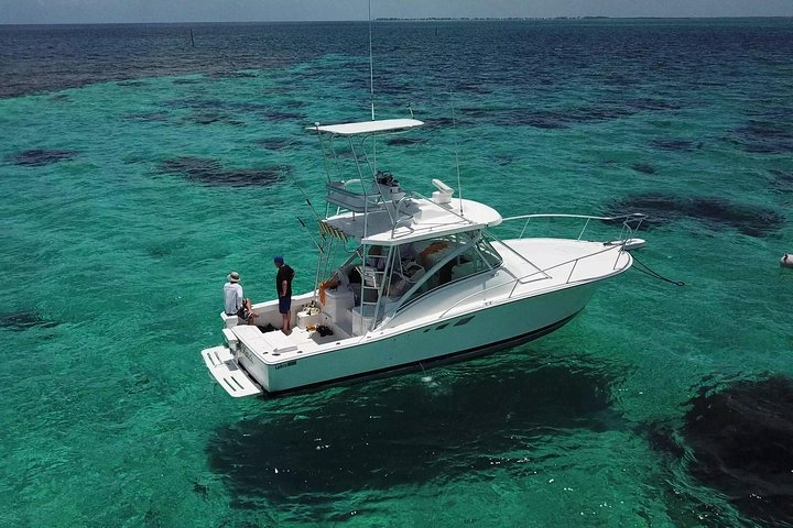 Private Charter 34ft Express Cruiser Stingay City Reef Snorkeling - Photo 1 of 25